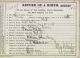 1879 Manhattan Birth Certificate: Louisa Piercy